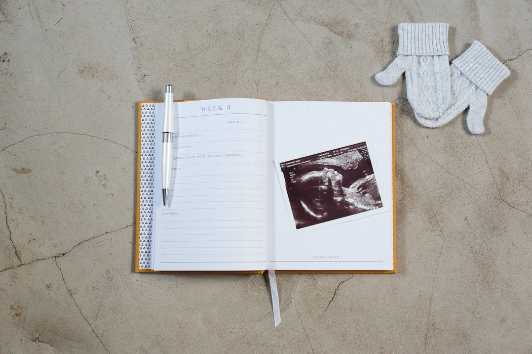 Pregnancy Journal - 9 Months