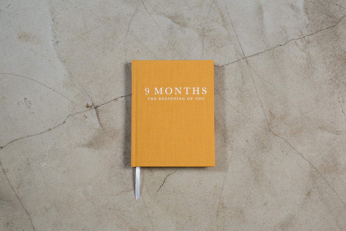 Pregnancy Journal - 9 Months