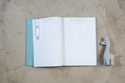 Baby Journal - Birth To Five Years GREY